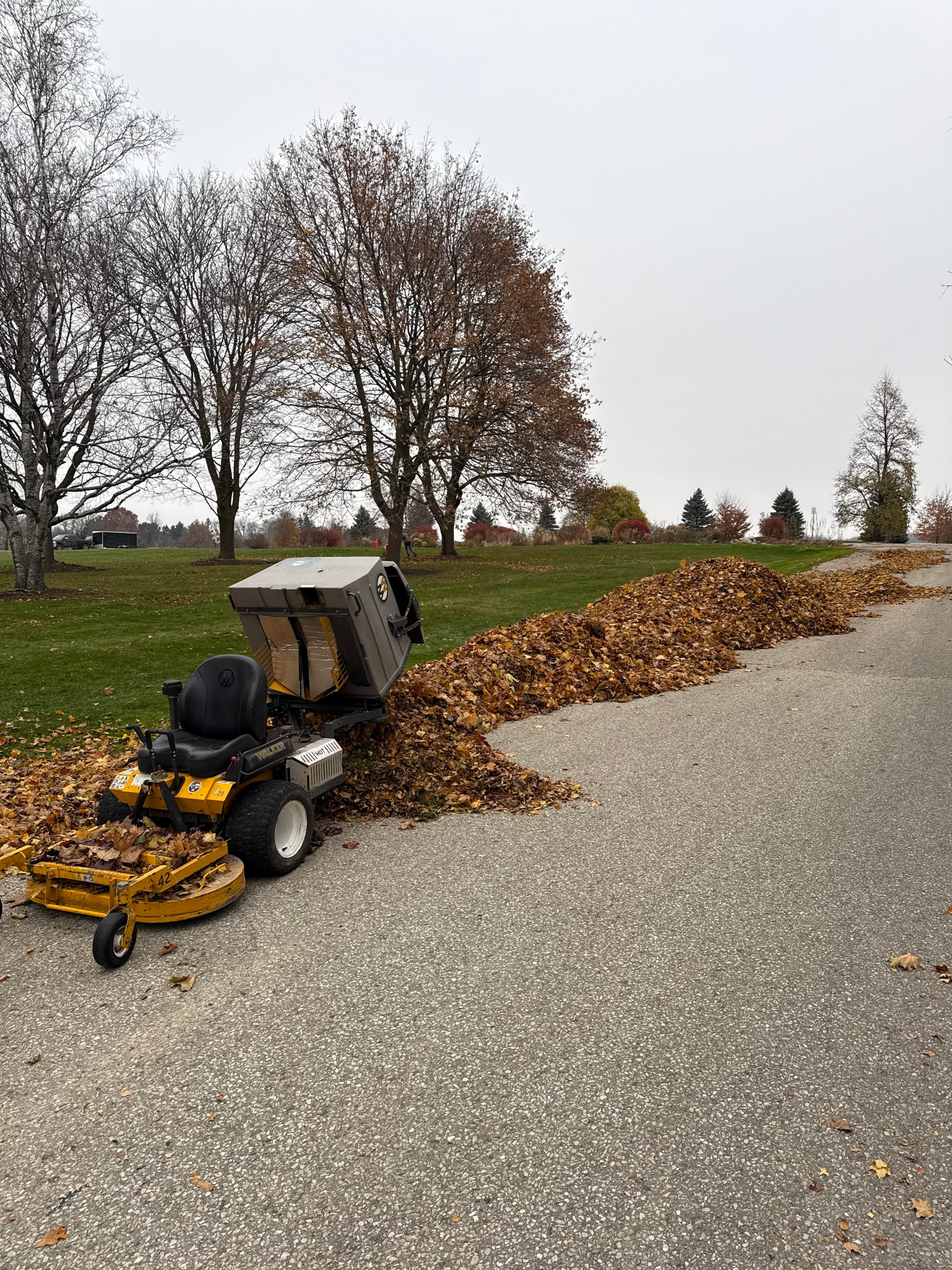 Spring and Fall Cleanup